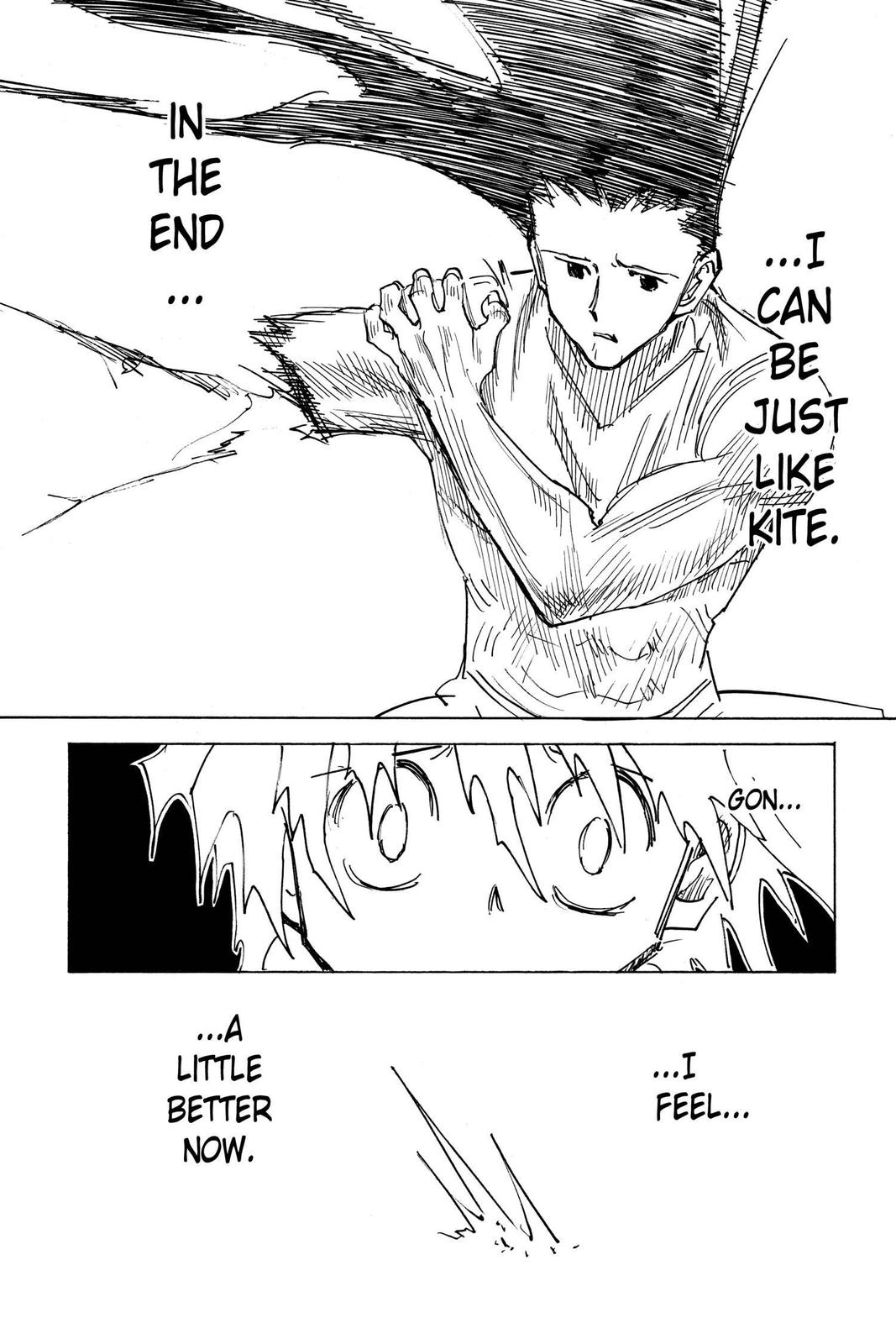Read Hunter x Hunter chapter 307 image 11 on Lezhin