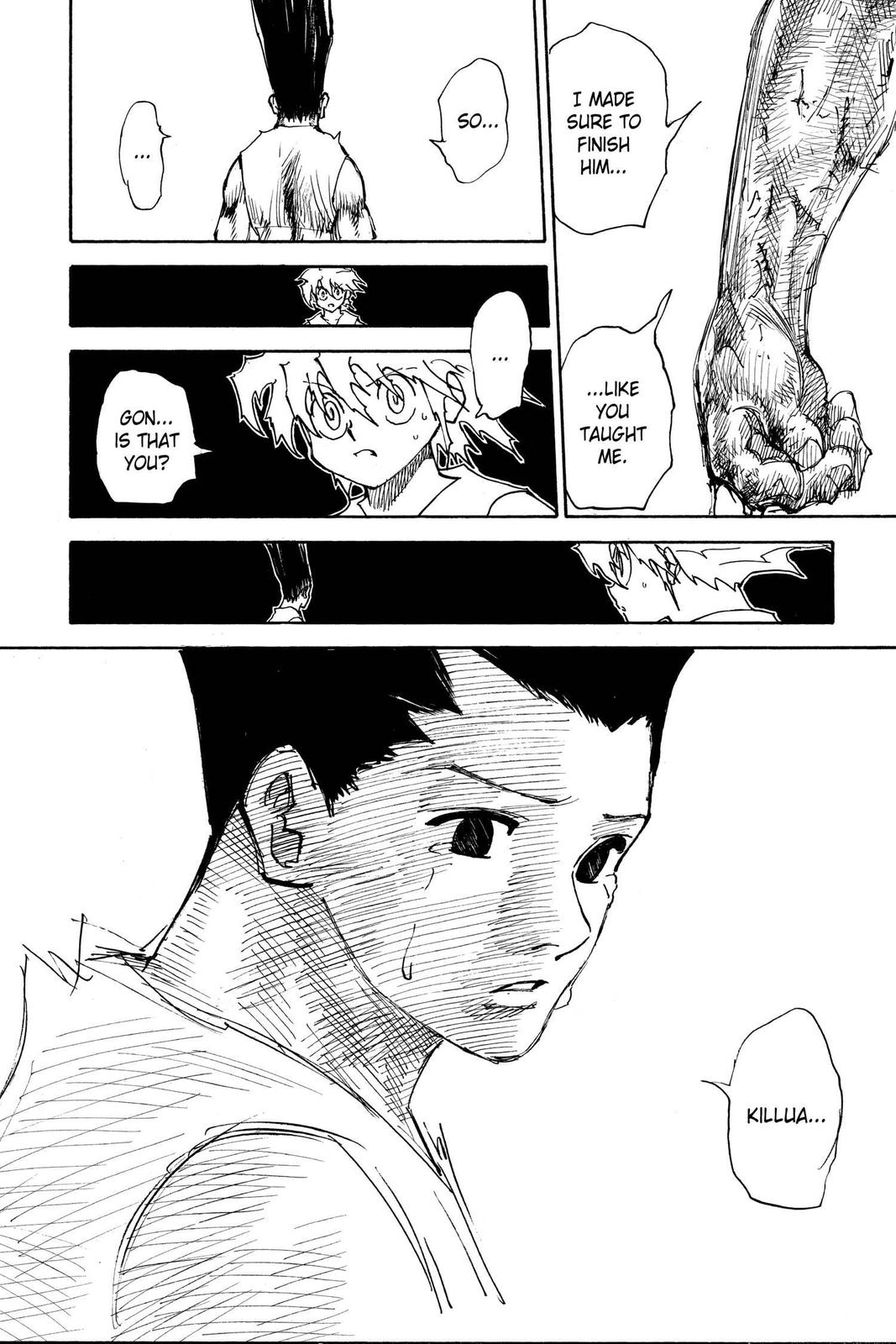 Read Hunter x Hunter chapter 307 image 3 on Lezhin