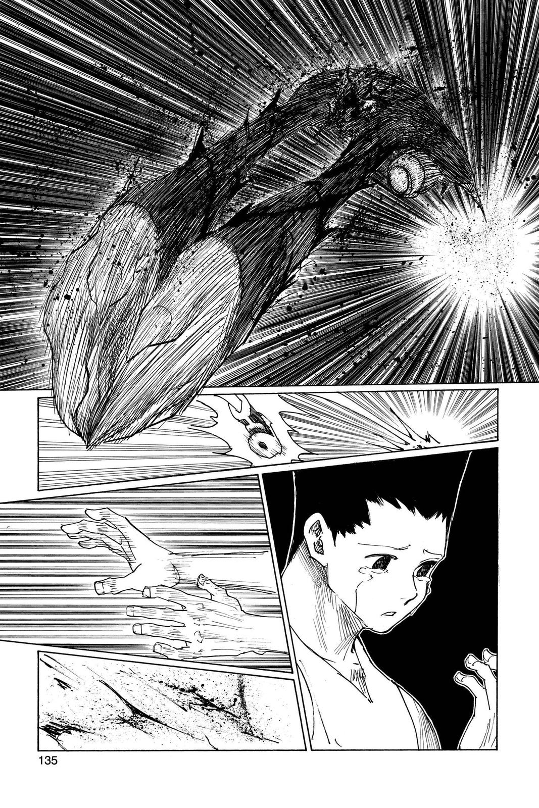 Read Hunter x Hunter chapter 307 image 6 on Lezhin