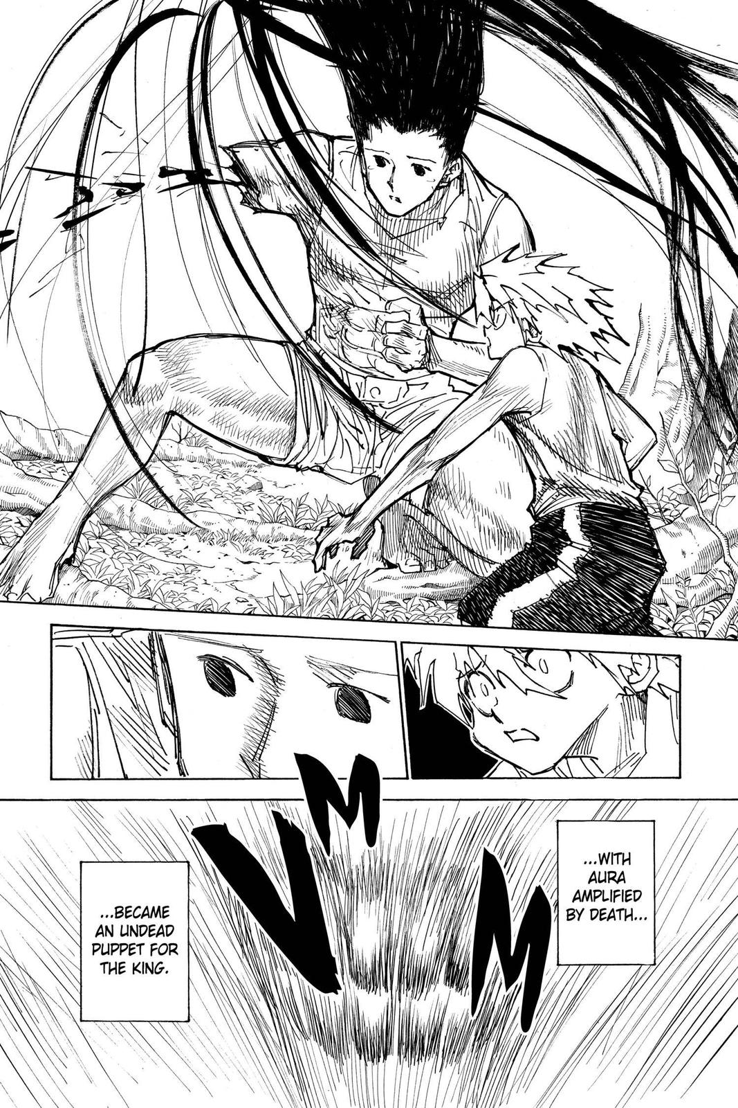 Read Hunter x Hunter chapter 307 image 8 on Lezhin