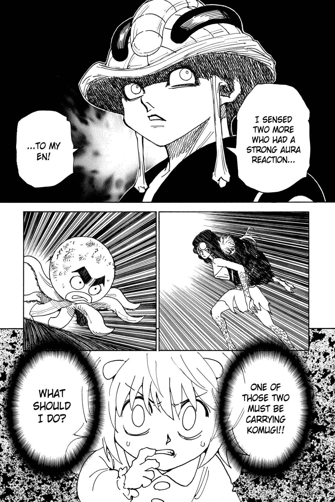 Read Hunter x Hunter chapter 308 image 16 on Lezhin