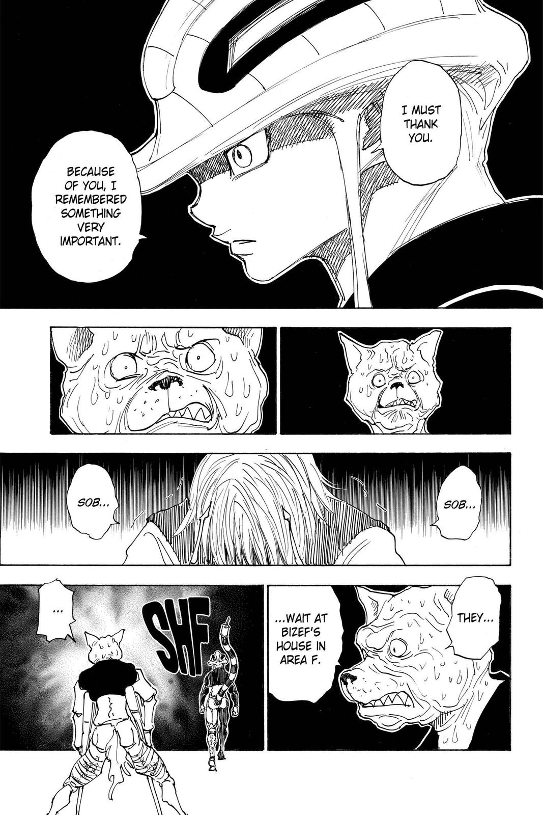 Read Hunter x Hunter chapter 313 image 11 on Lezhin