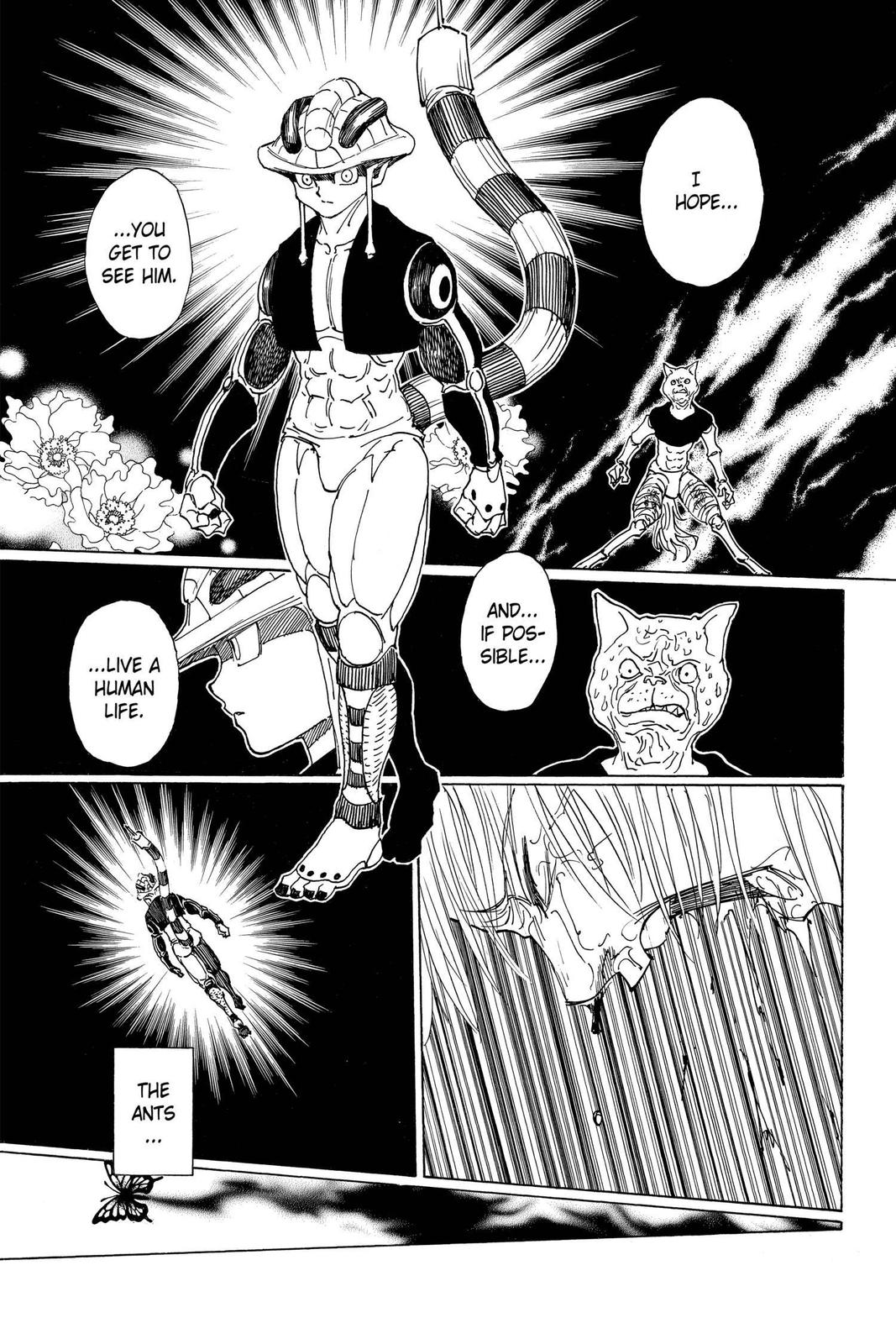 Read Hunter x Hunter chapter 313 image 13 on Lezhin