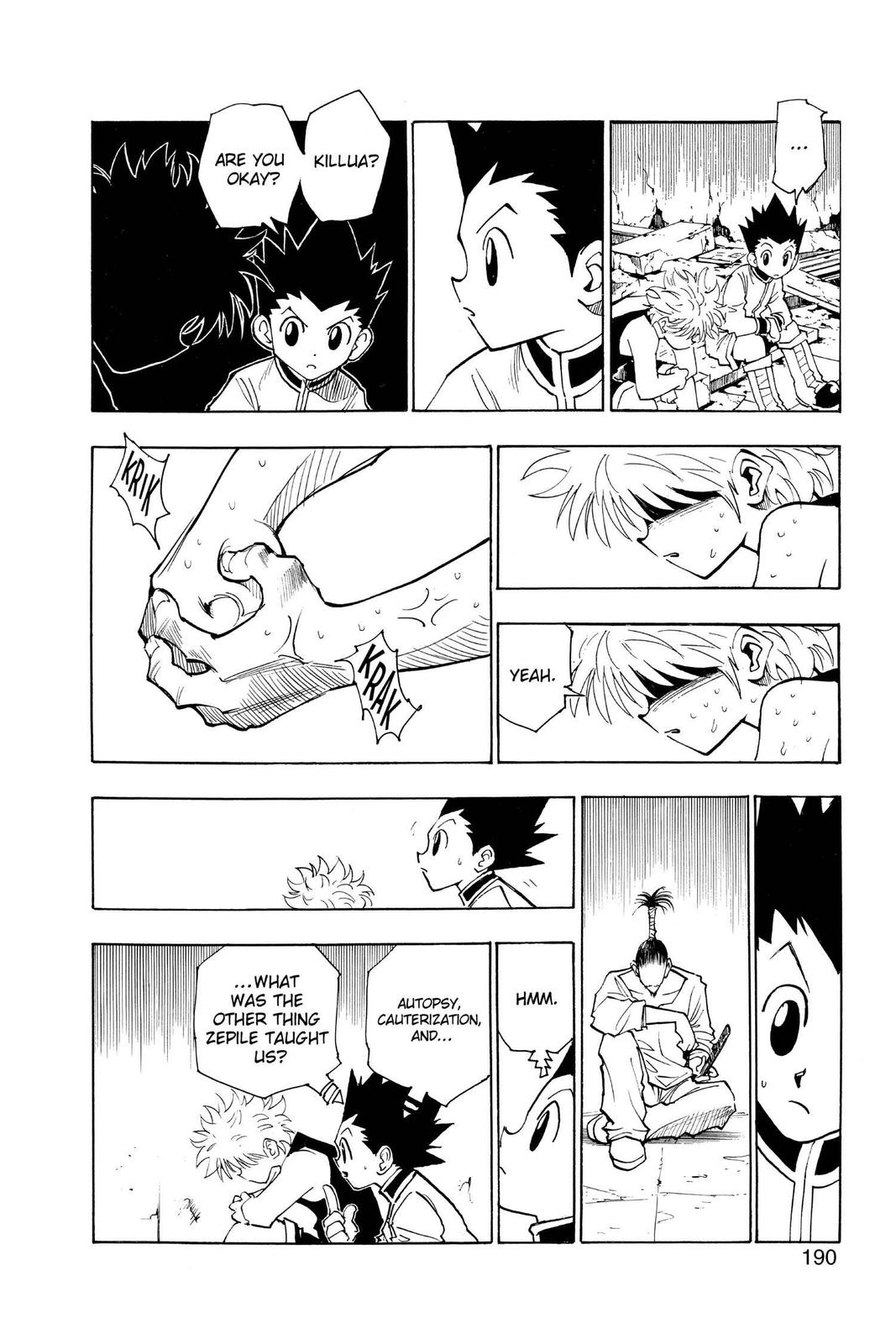 Read Hunter x Hunter chapter 93 image 9 on Lezhin
