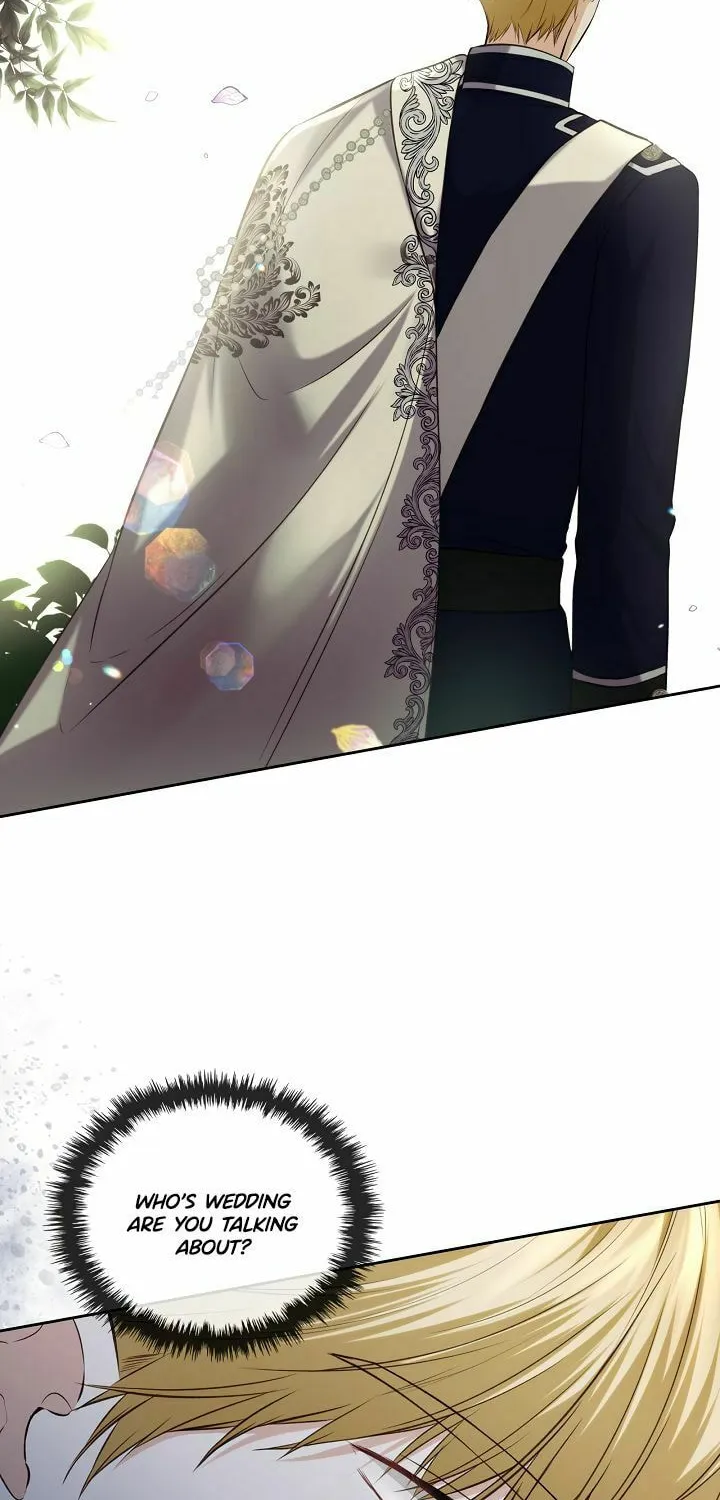 Hwangtaejaui Yakonnyeo Chapter 24 page 19 - 