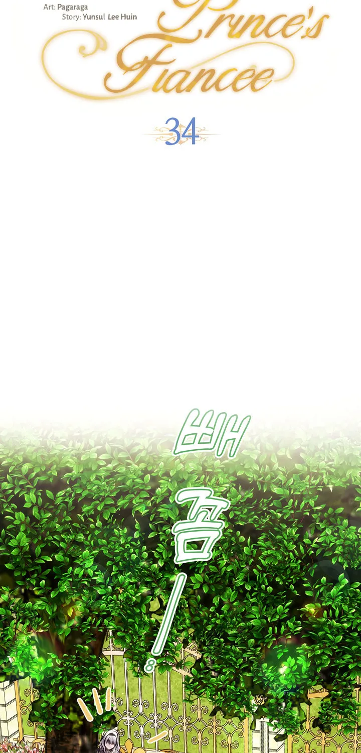 Hwangtaejaui Yakonnyeo Chapter 34 page 27 - 