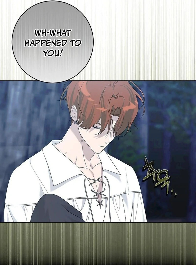 I Accidentally Tamed the Duke Chapter 106 page 71 - 