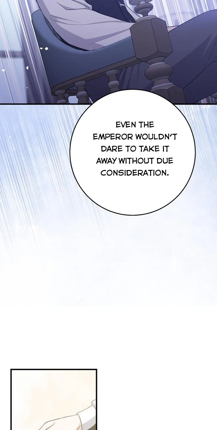 I Acted As the Adopted Daughter Too Well Chapter 32.5 page 23 - 