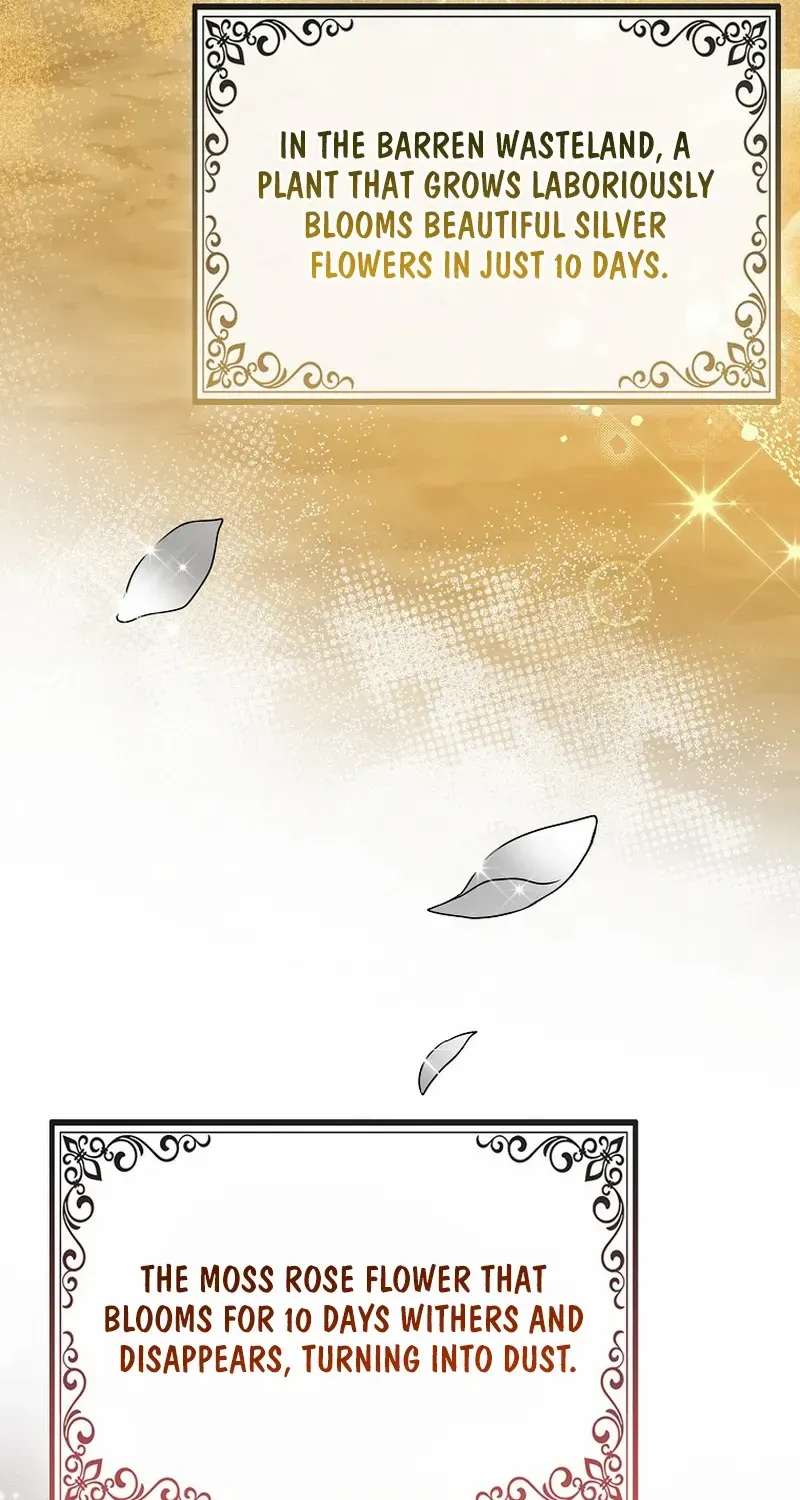 I Acted As the Adopted Daughter Too Well Chapter 69 page 90 - 