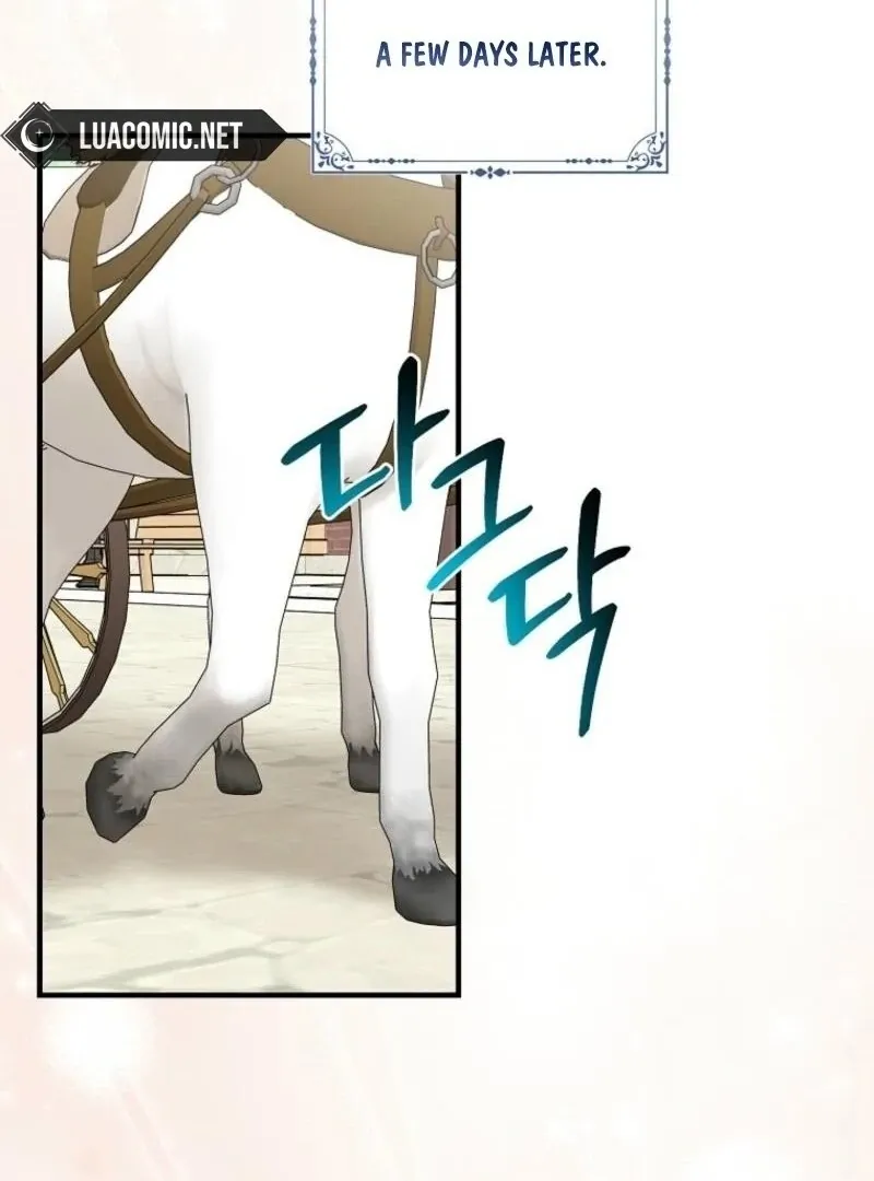 I Acted As the Adopted Daughter Too Well Chapter 97 page 49 - 