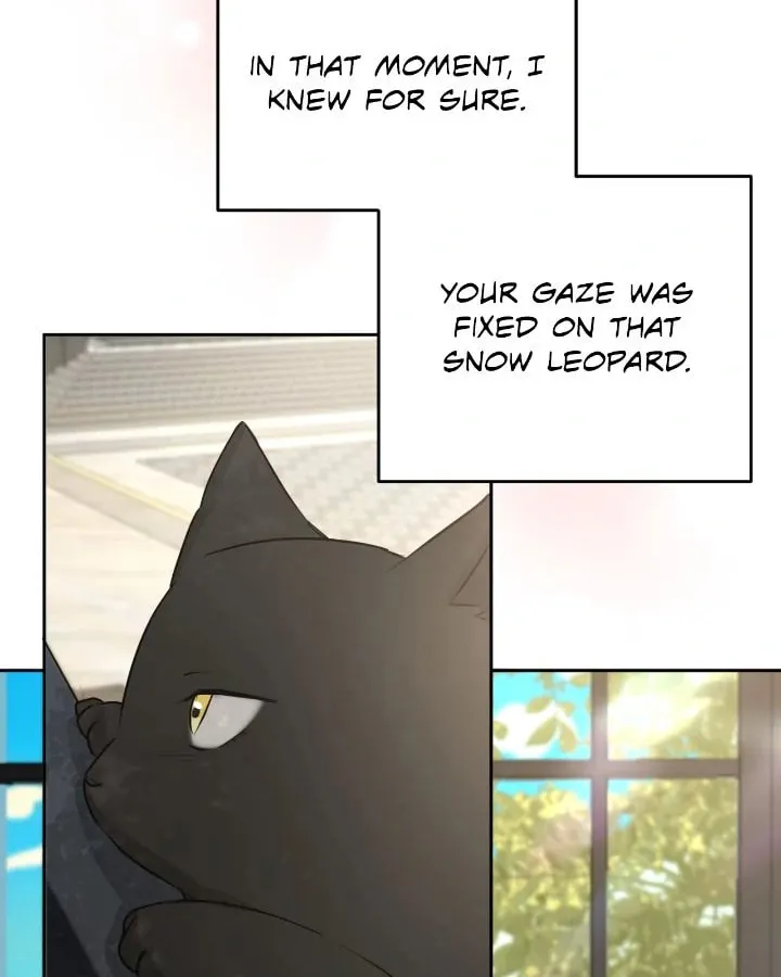 I Adopted the Male Lead from the Shelter Chapter 84 page 37 - 