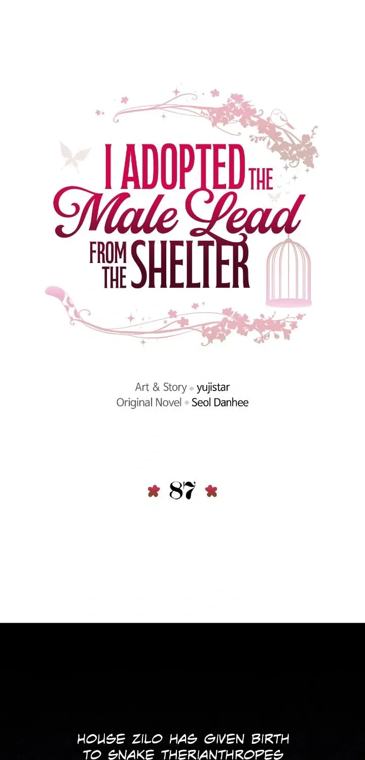 I Adopted the Male Lead from the Shelter Chapter 87 page 7 - 