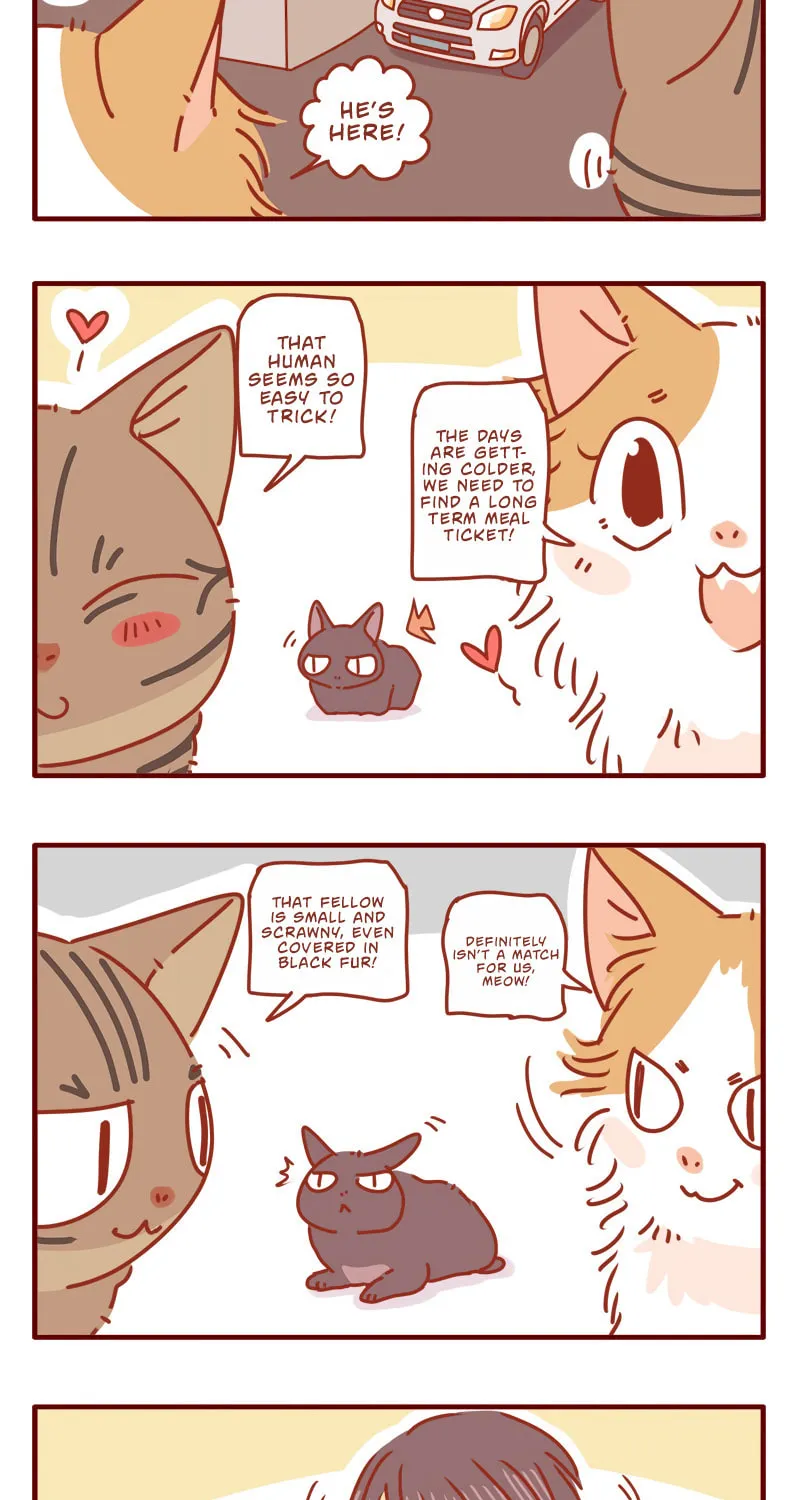 Read I Am a Small Kitten (Colored) chapter 1 image 12 on Lezhin