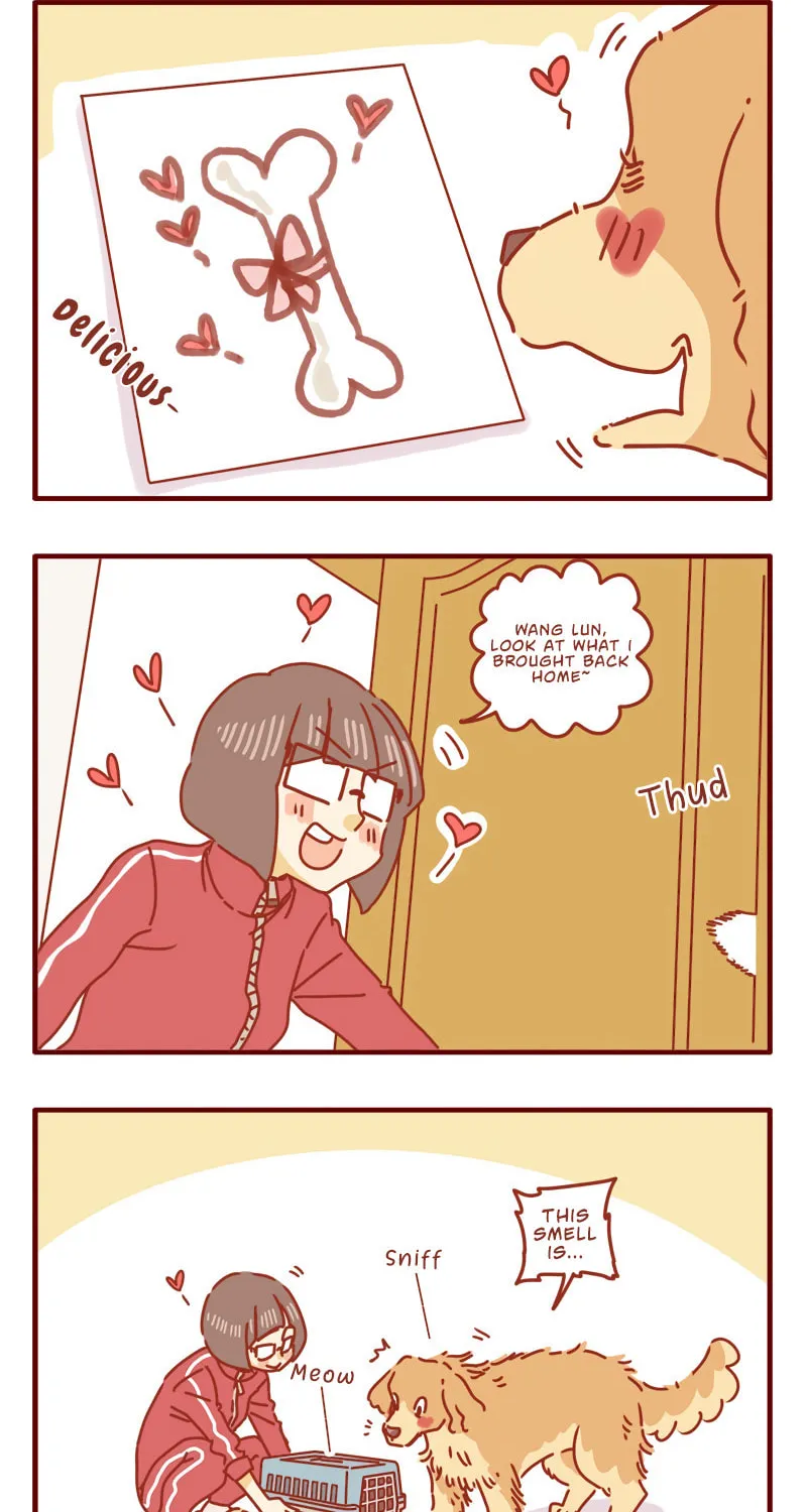 Read I Am a Small Kitten (Colored) chapter 1 image 2 on Lezhin