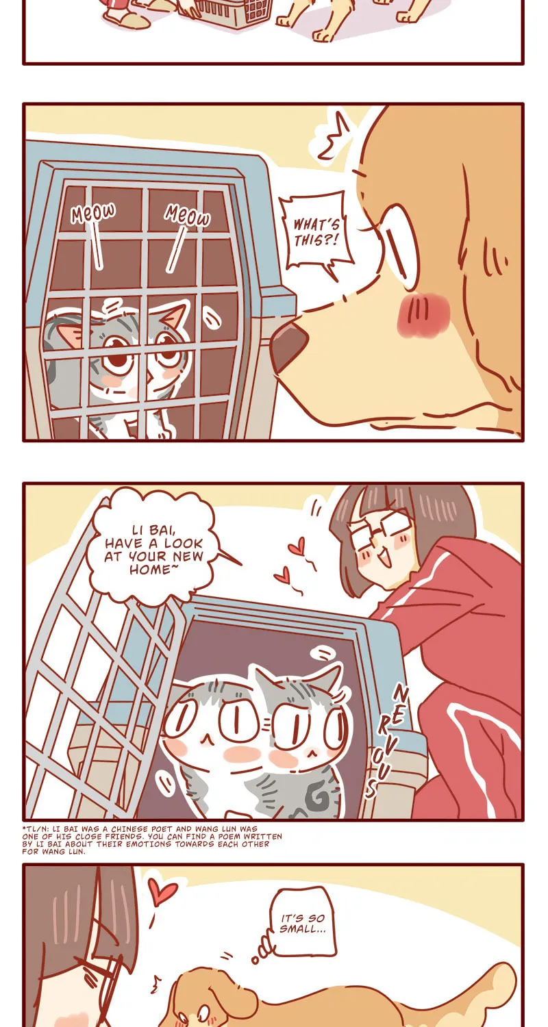Read I Am a Small Kitten (Colored) chapter 1 image 3 on Lezhin