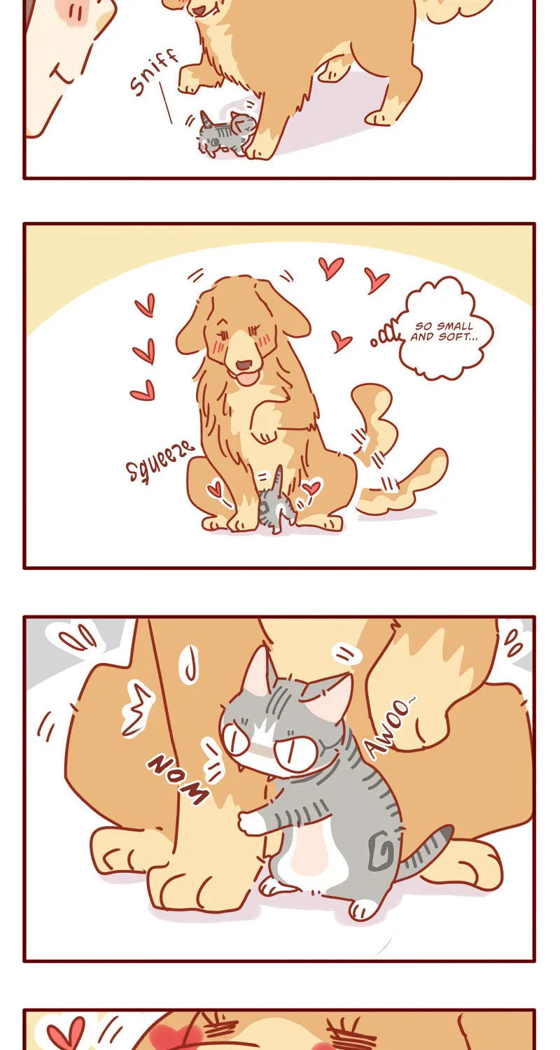 Read I Am a Small Kitten (Colored) chapter 1 image 4 on Lezhin
