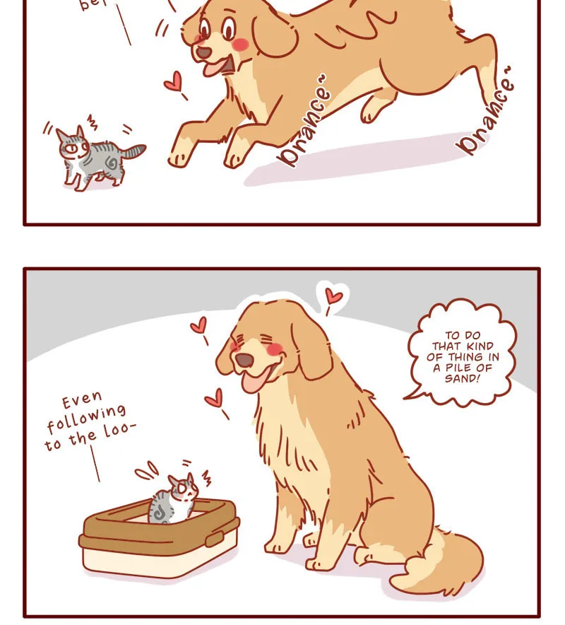 Read I Am a Small Kitten (Colored) chapter 1 image 7 on Lezhin