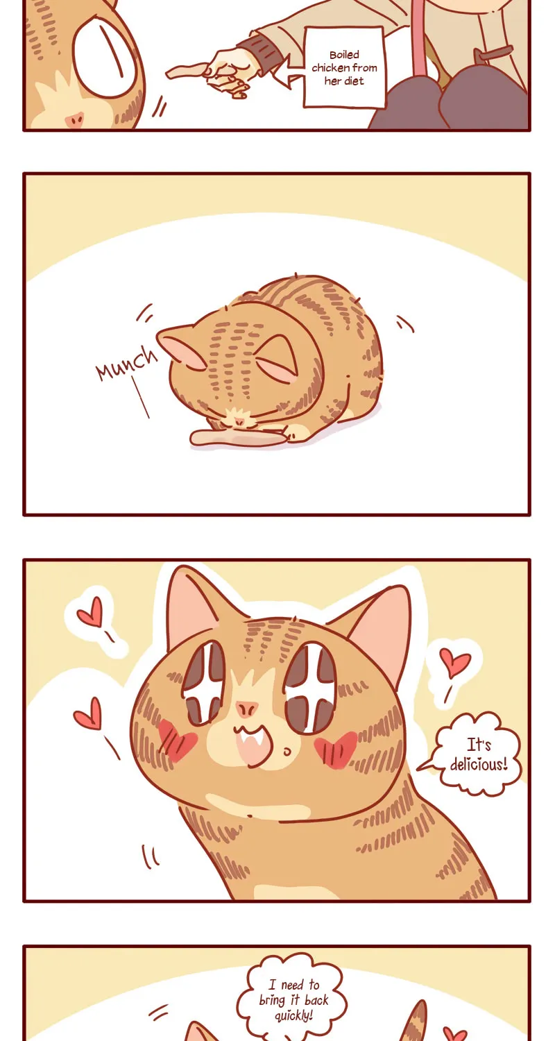 I Am a Small Kitten (Colored) Chapter 10 page 12 - 