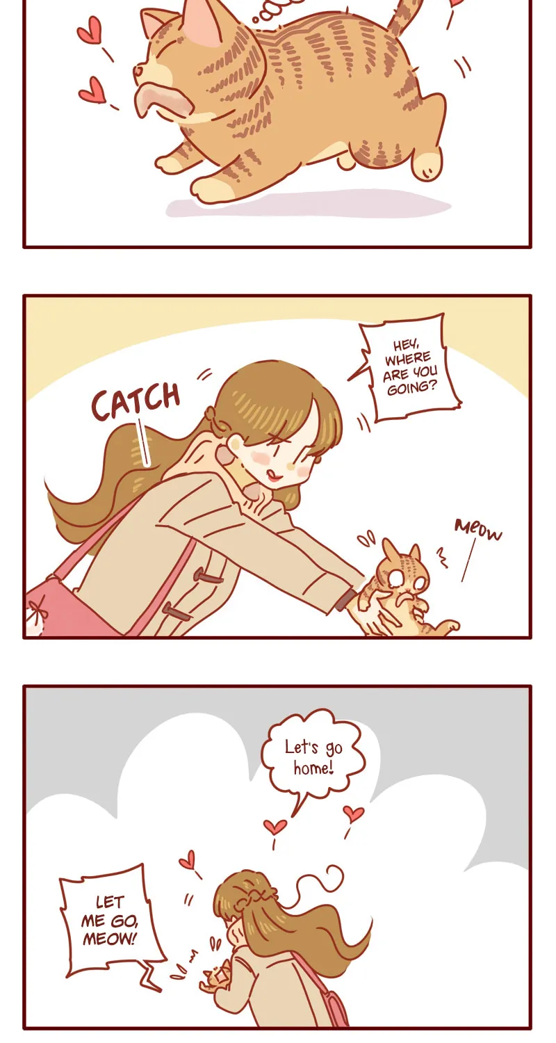 I Am a Small Kitten (Colored) Chapter 10 page 13 - 