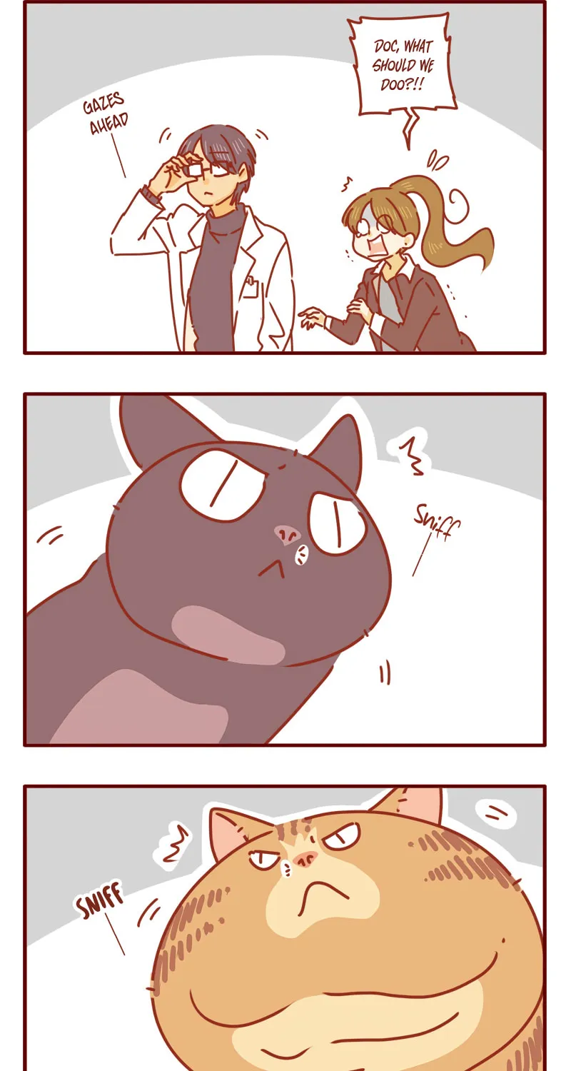 I Am a Small Kitten (Colored) Chapter 10 page 3 - 