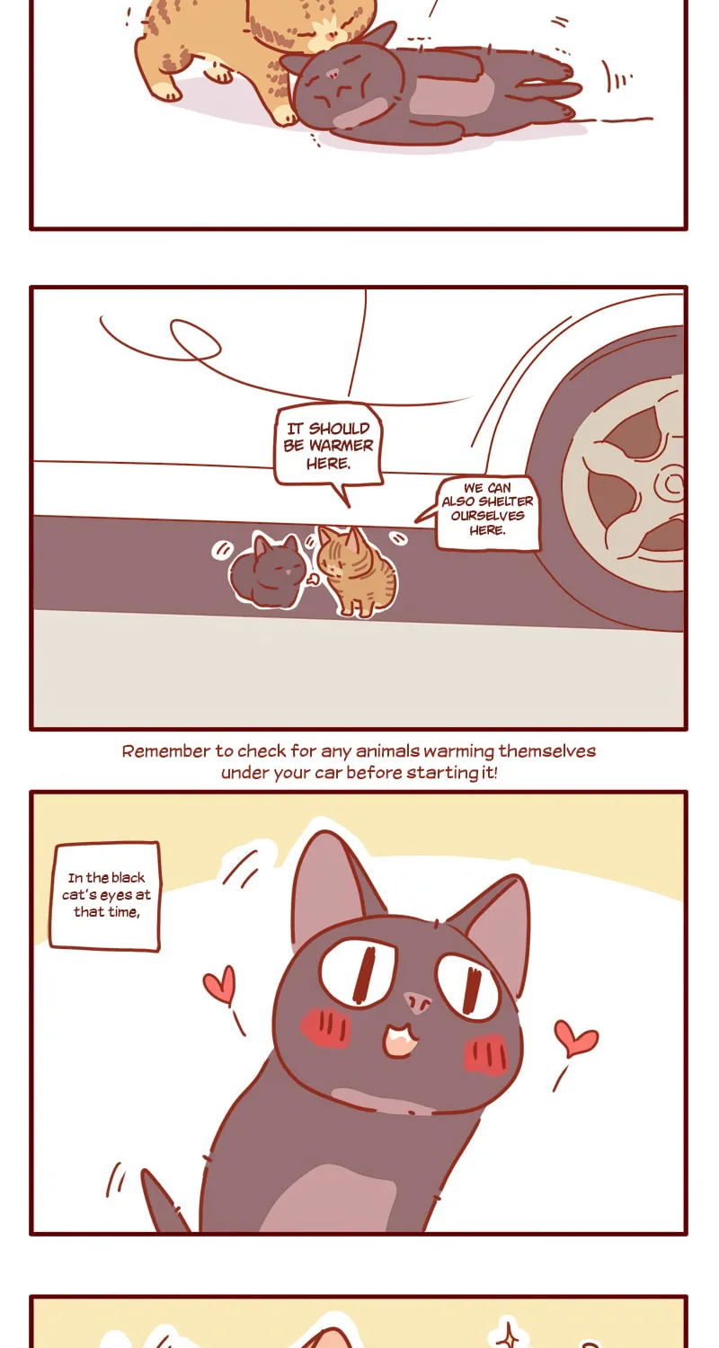 I Am a Small Kitten (Colored) Chapter 10 page 5 - 