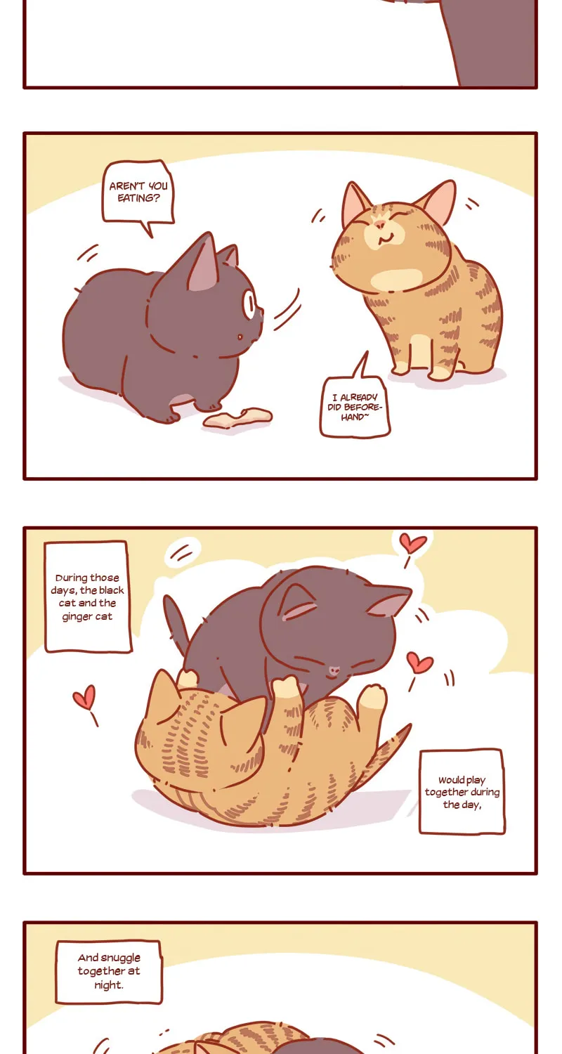 I Am a Small Kitten (Colored) Chapter 10 page 9 - 