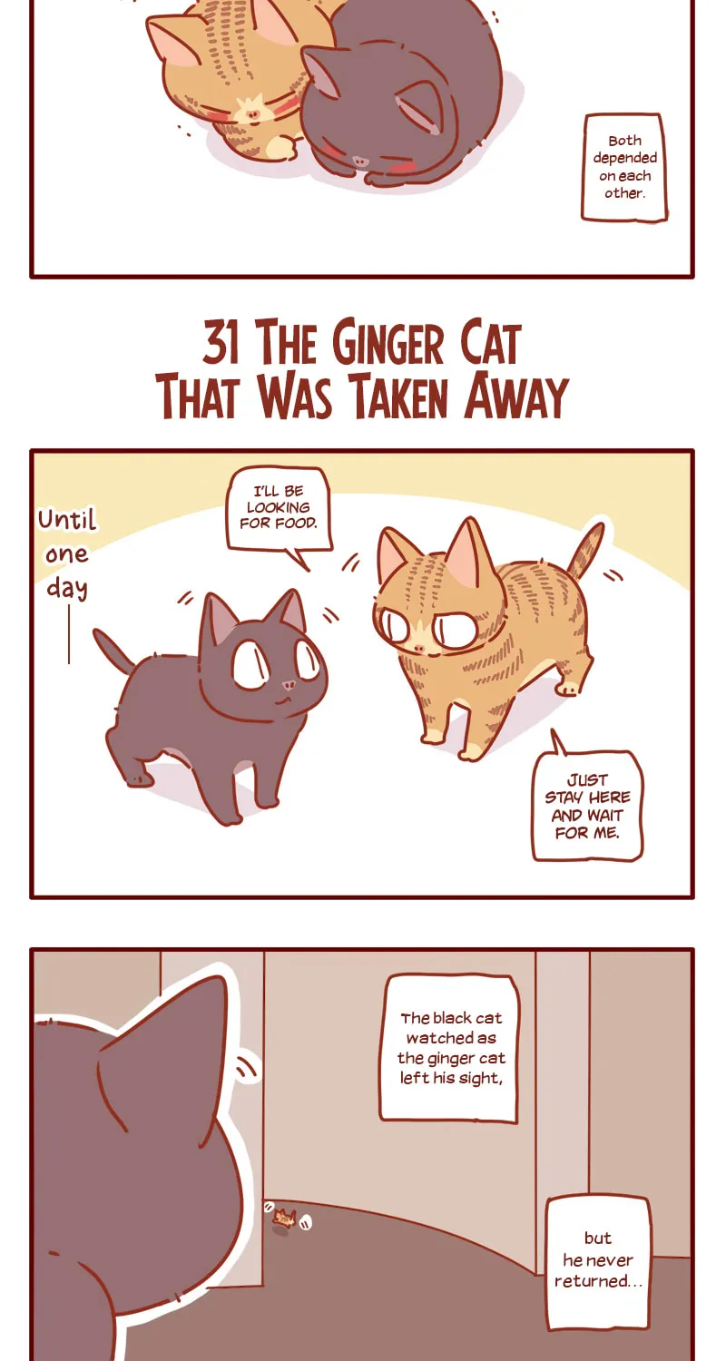 I Am a Small Kitten (Colored) Chapter 10 page 10 - 
