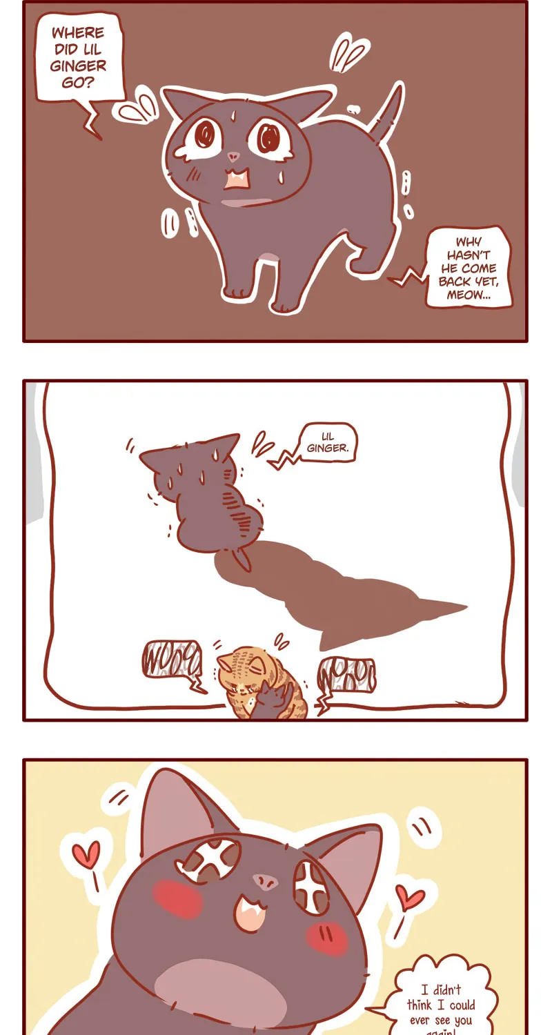 Read I Am a Small Kitten (Colored) chapter 11 image 1 on Lezhin