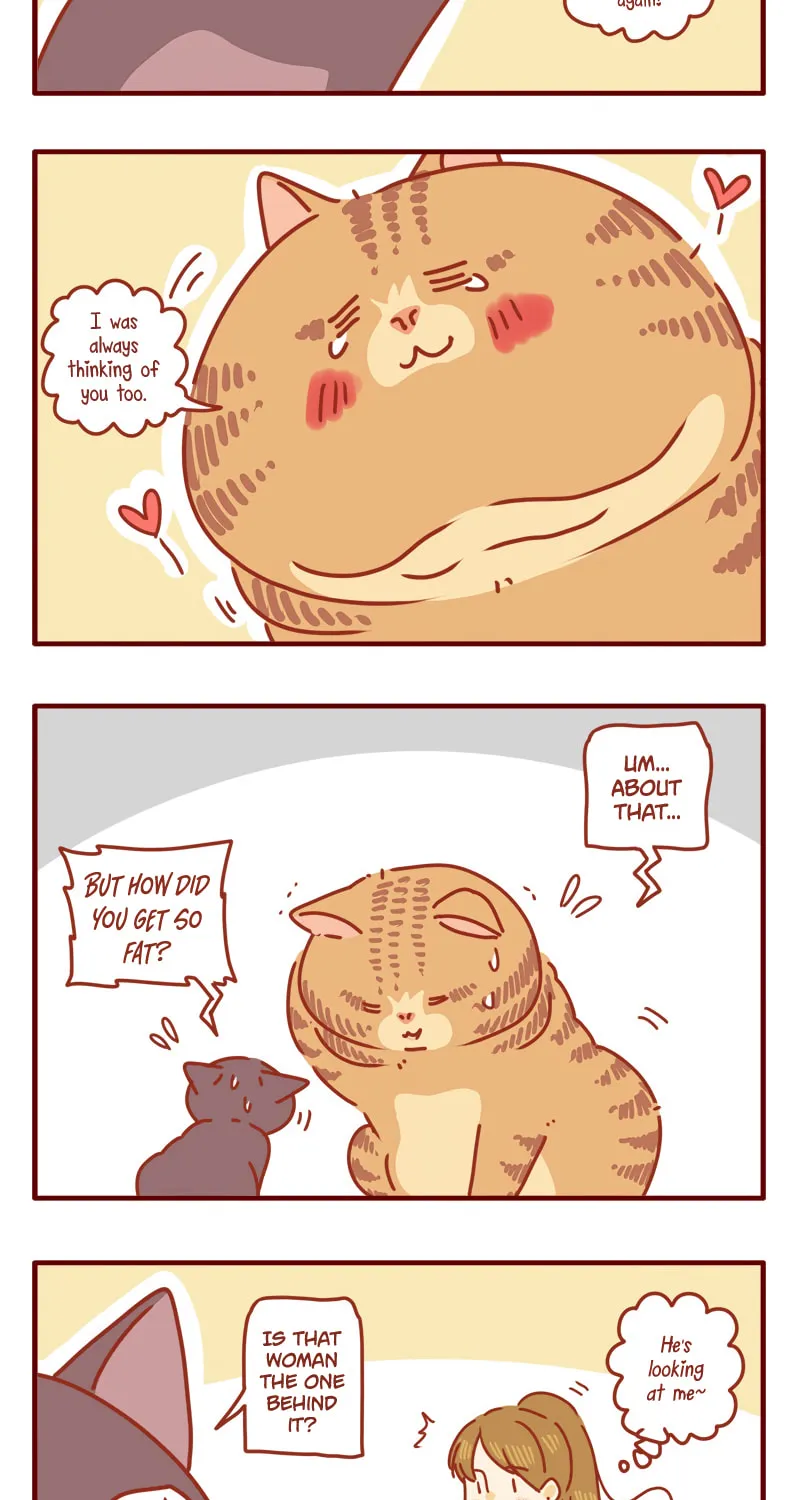 Read I Am a Small Kitten (Colored) chapter 11 image 2 on Lezhin