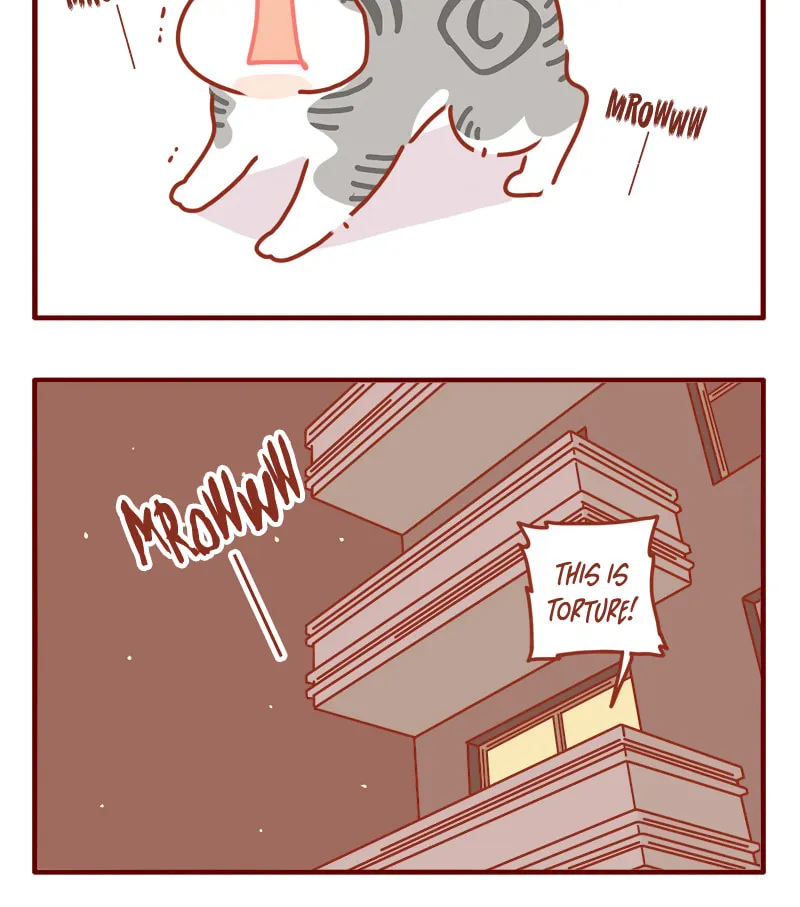 Read I Am a Small Kitten (Colored) chapter 11 image 6 on Lezhin