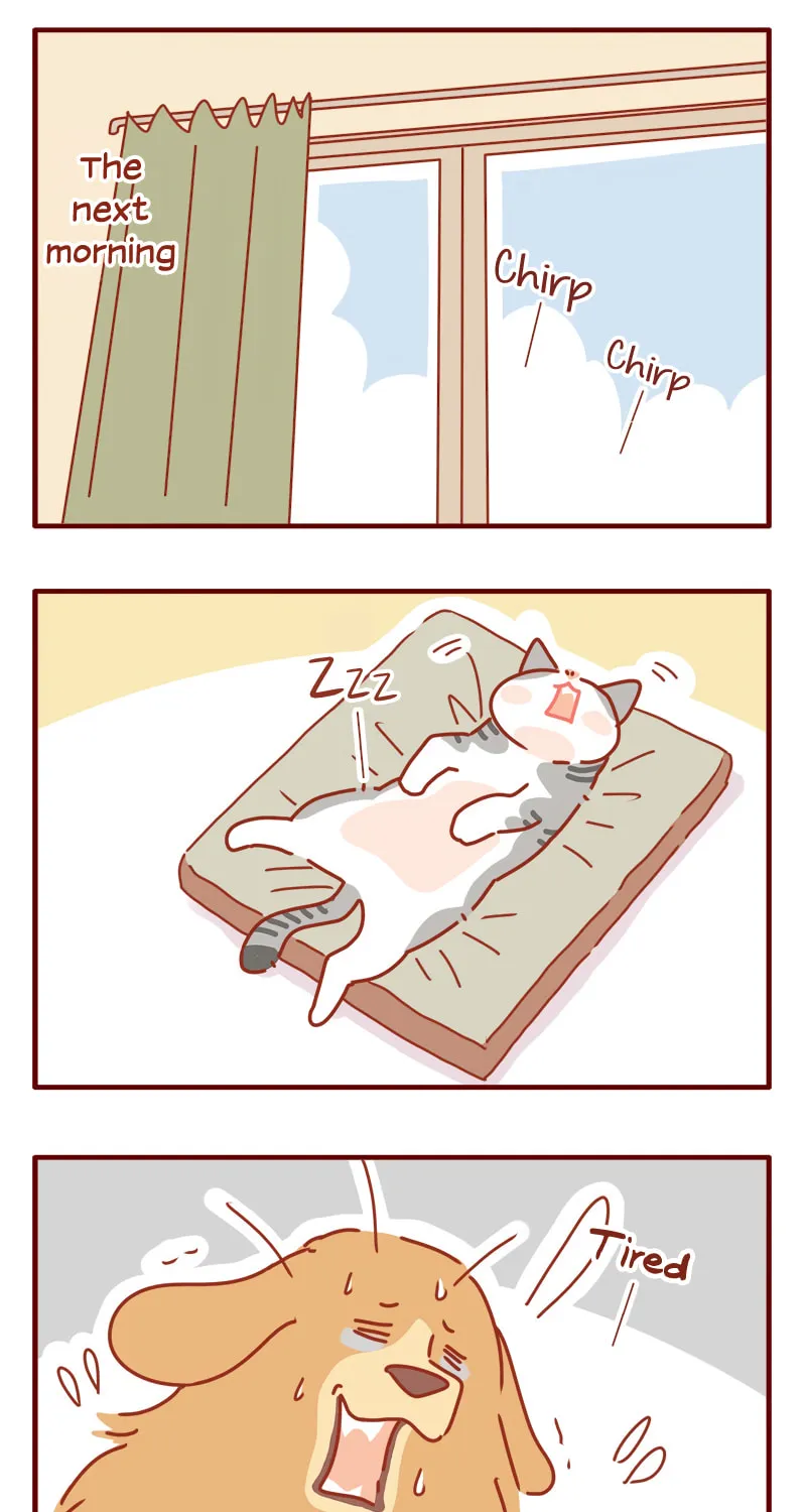 Read I Am a Small Kitten (Colored) chapter 11 image 7 on Lezhin