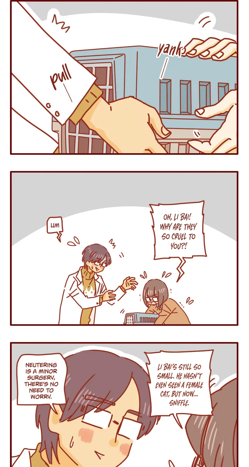 Read I Am a Small Kitten (Colored) chapter 12 image 1 on Lezhin