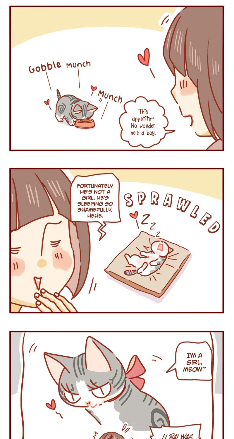 Read I Am a Small Kitten (Colored) chapter 12 image 6 on Lezhin