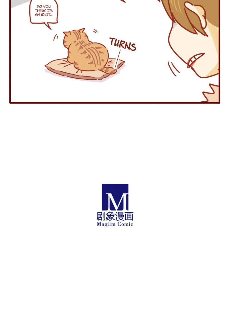 Read I Am a Small Kitten (Colored) chapter 14 image 11 on Lezhin