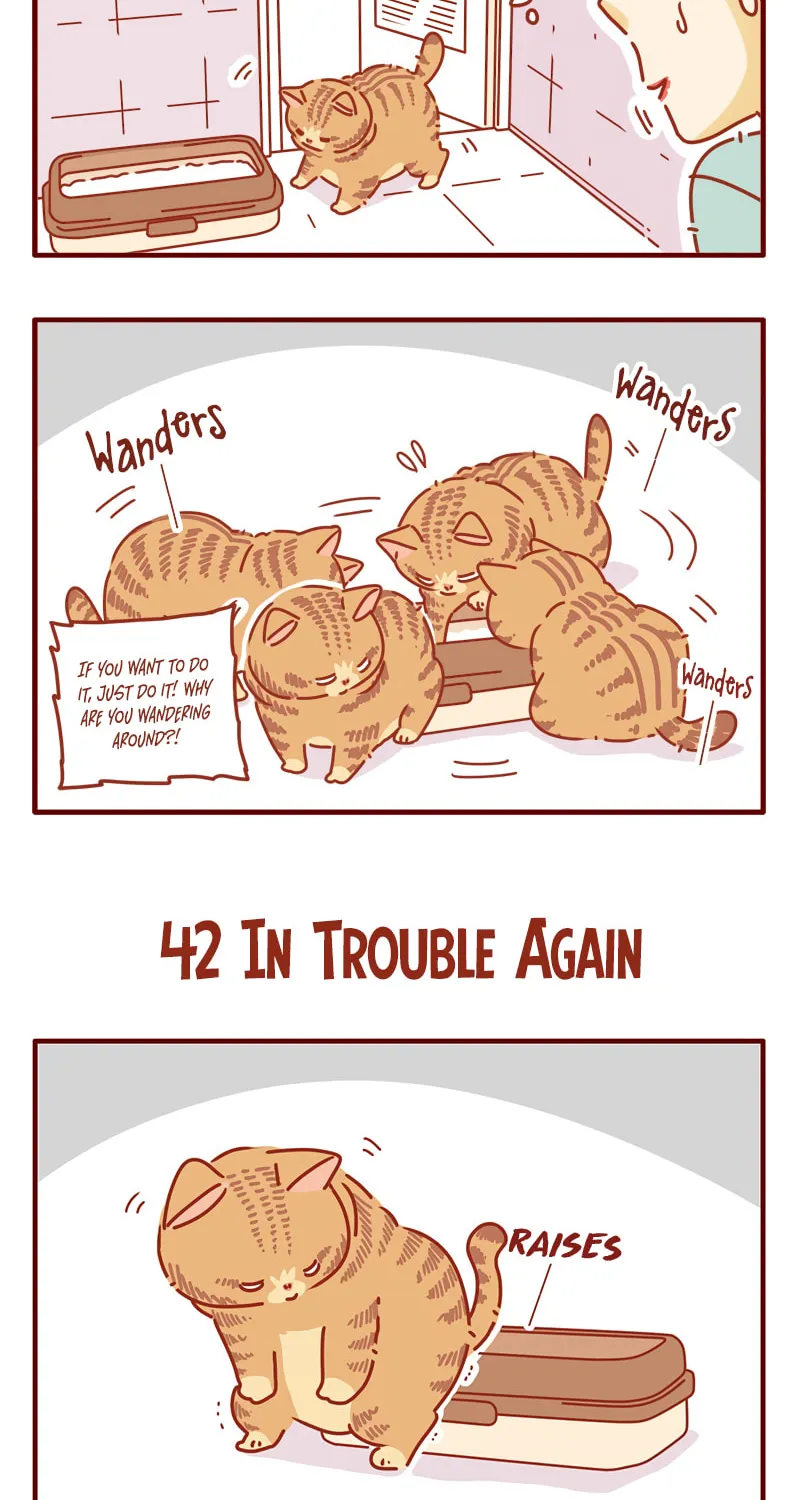 Read I Am a Small Kitten (Colored) chapter 14 image 3 on Lezhin