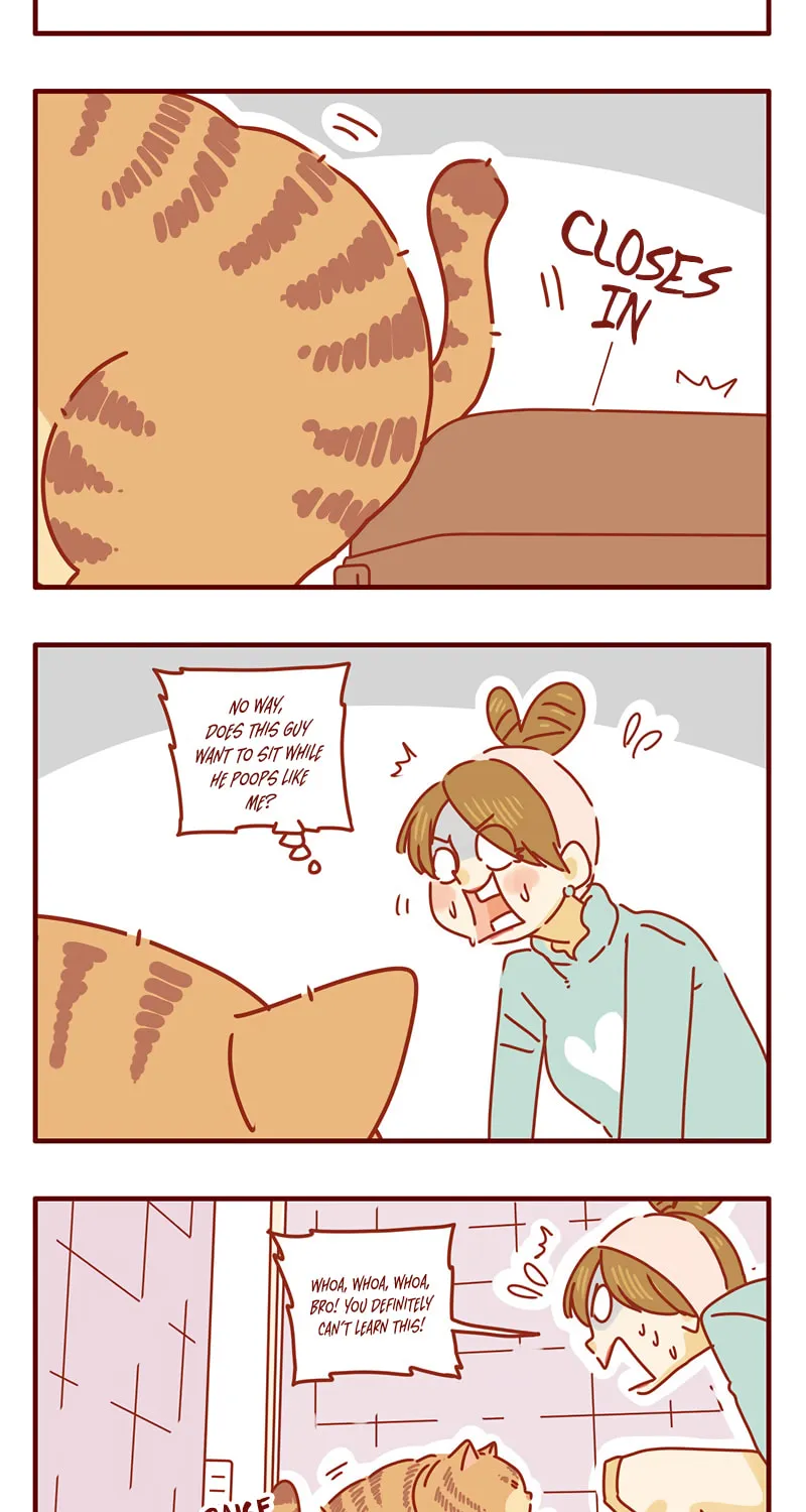 Read I Am a Small Kitten (Colored) chapter 14 image 4 on Lezhin