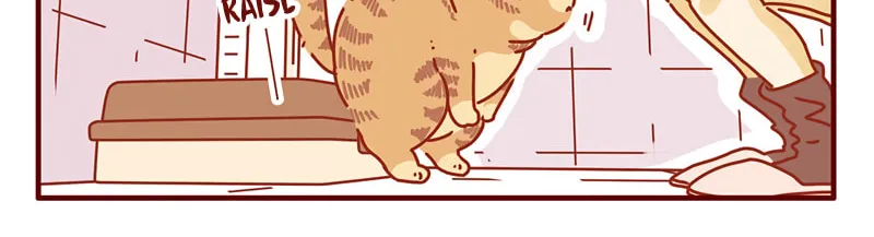 Read I Am a Small Kitten (Colored) chapter 14 image 5 on Lezhin