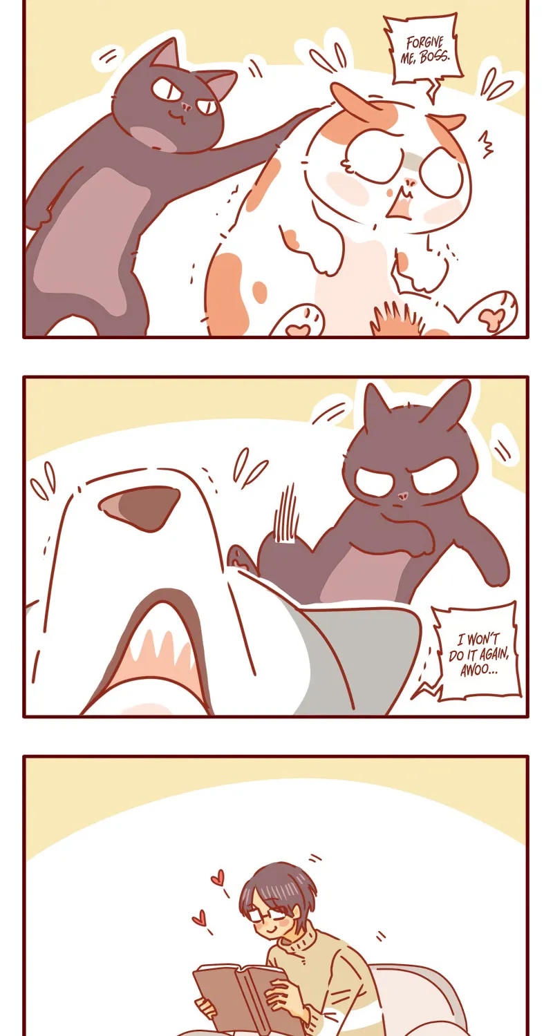 I Am a Small Kitten (Colored) Chapter 15 page 2 - 