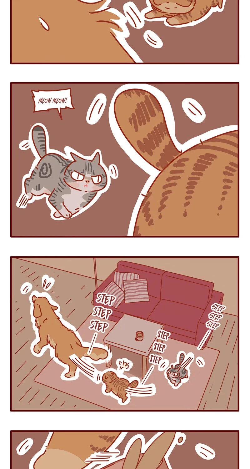 I Am a Small Kitten (Colored) Chapter 17 page 11 - 