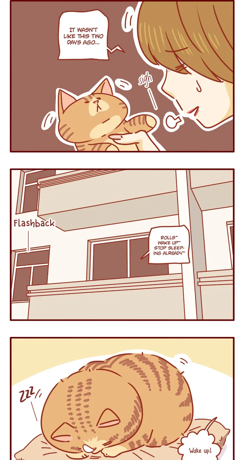 I Am a Small Kitten (Colored) Chapter 18 page 2 - 