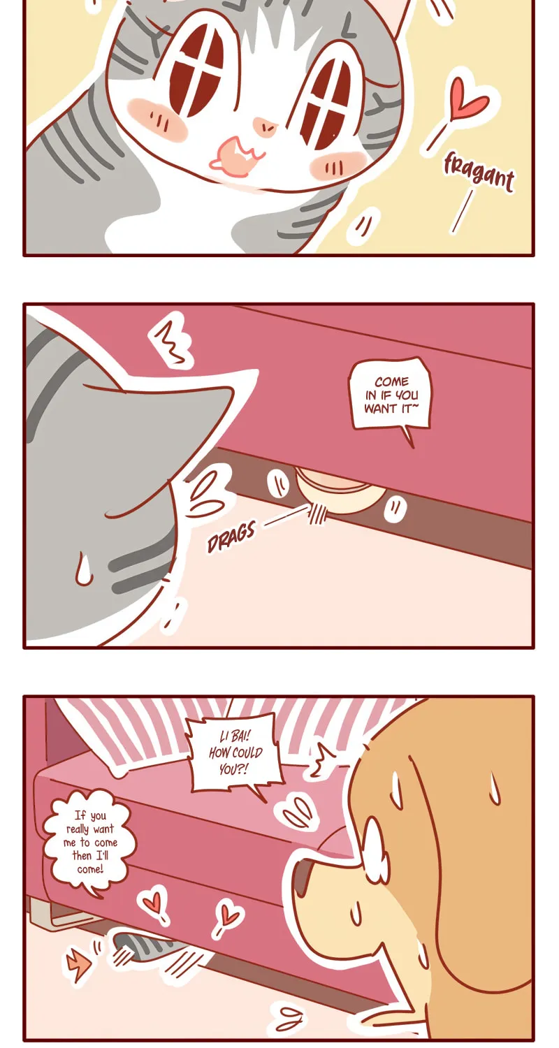 I Am a Small Kitten (Colored) Chapter 18 page 12 - 