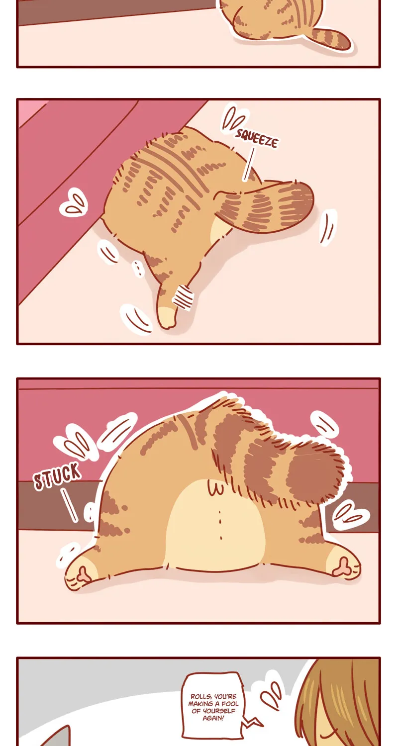 I Am a Small Kitten (Colored) Chapter 18 page 8 - 