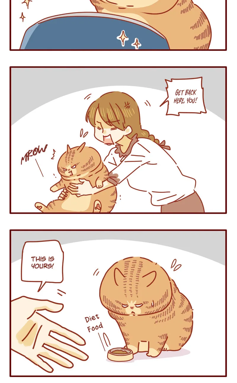I Am a Small Kitten (Colored) Chapter 19 page 6 - 