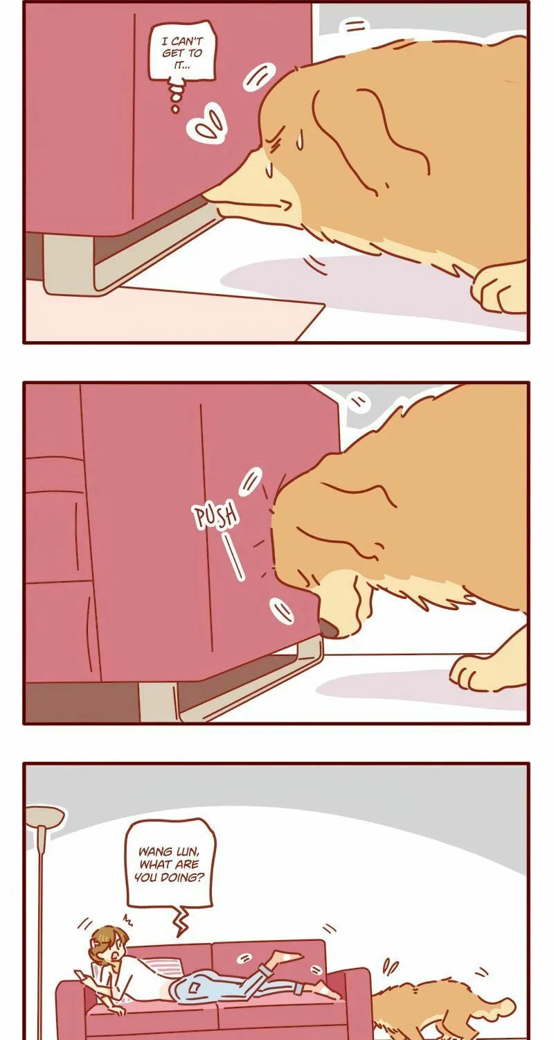 I Am a Small Kitten (Colored) Chapter 20 page 2 - 