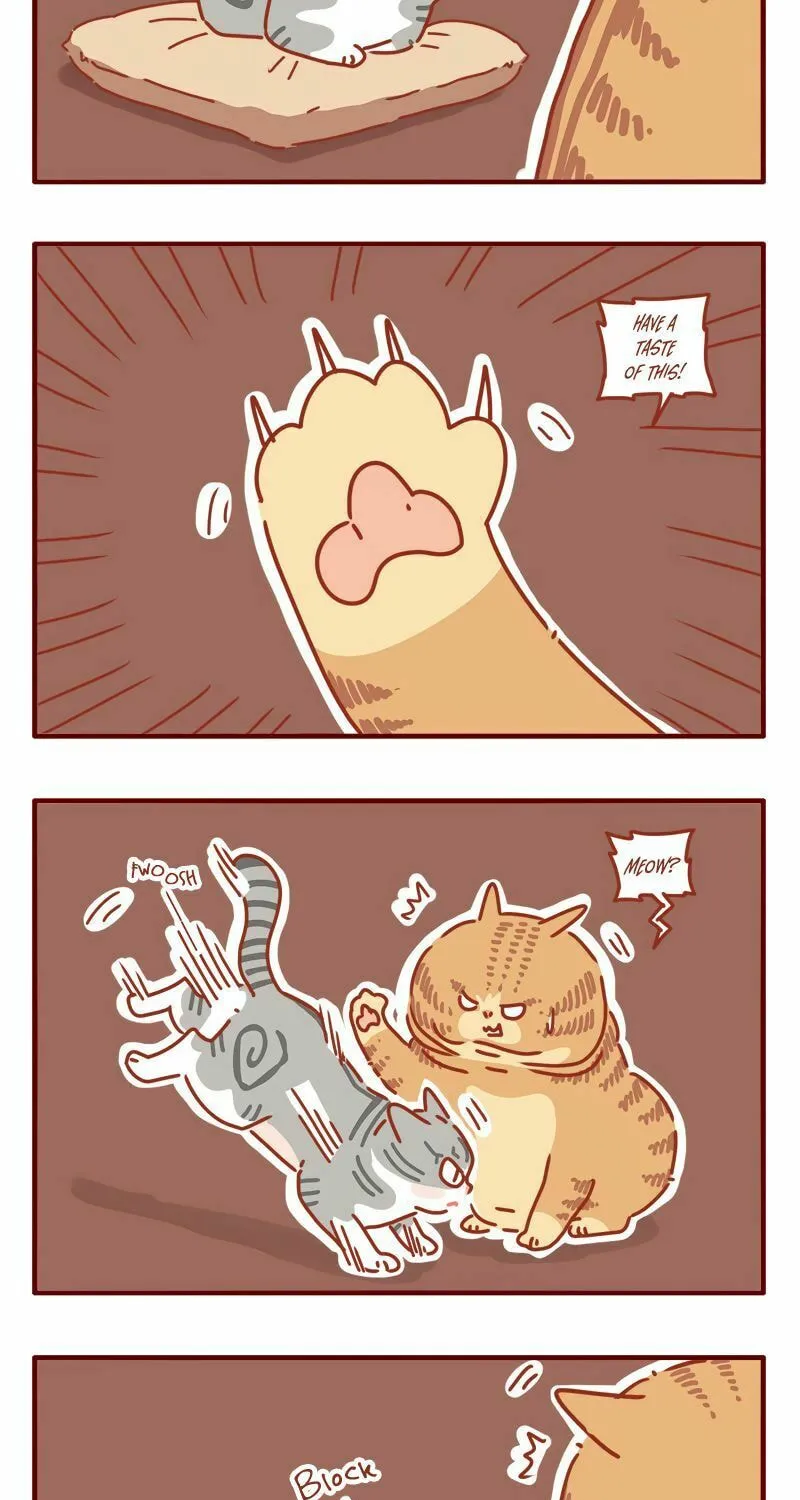 I Am a Small Kitten (Colored) Chapter 20 page 11 - 