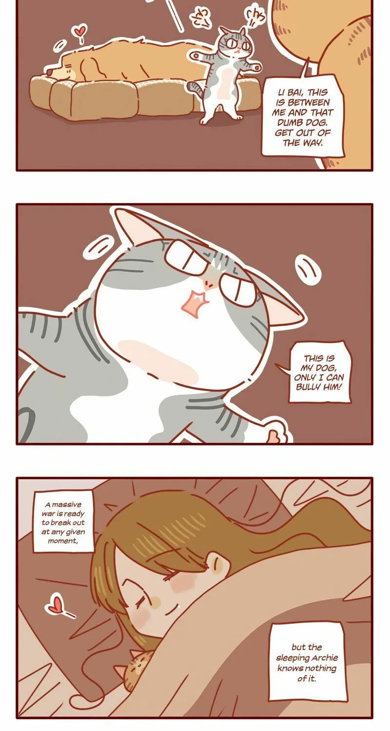 I Am a Small Kitten (Colored) Chapter 20 page 12 - 