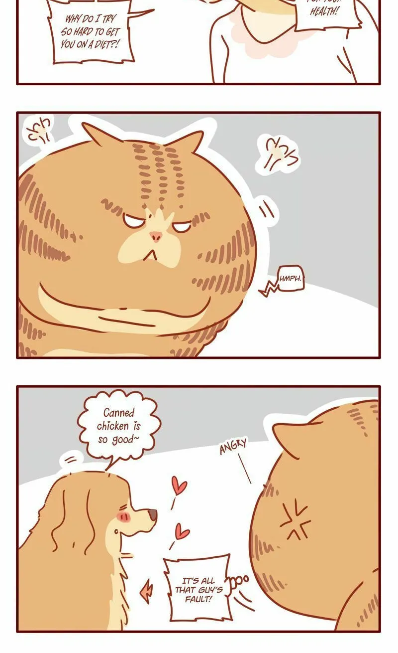 I Am a Small Kitten (Colored) Chapter 20 page 6 - 