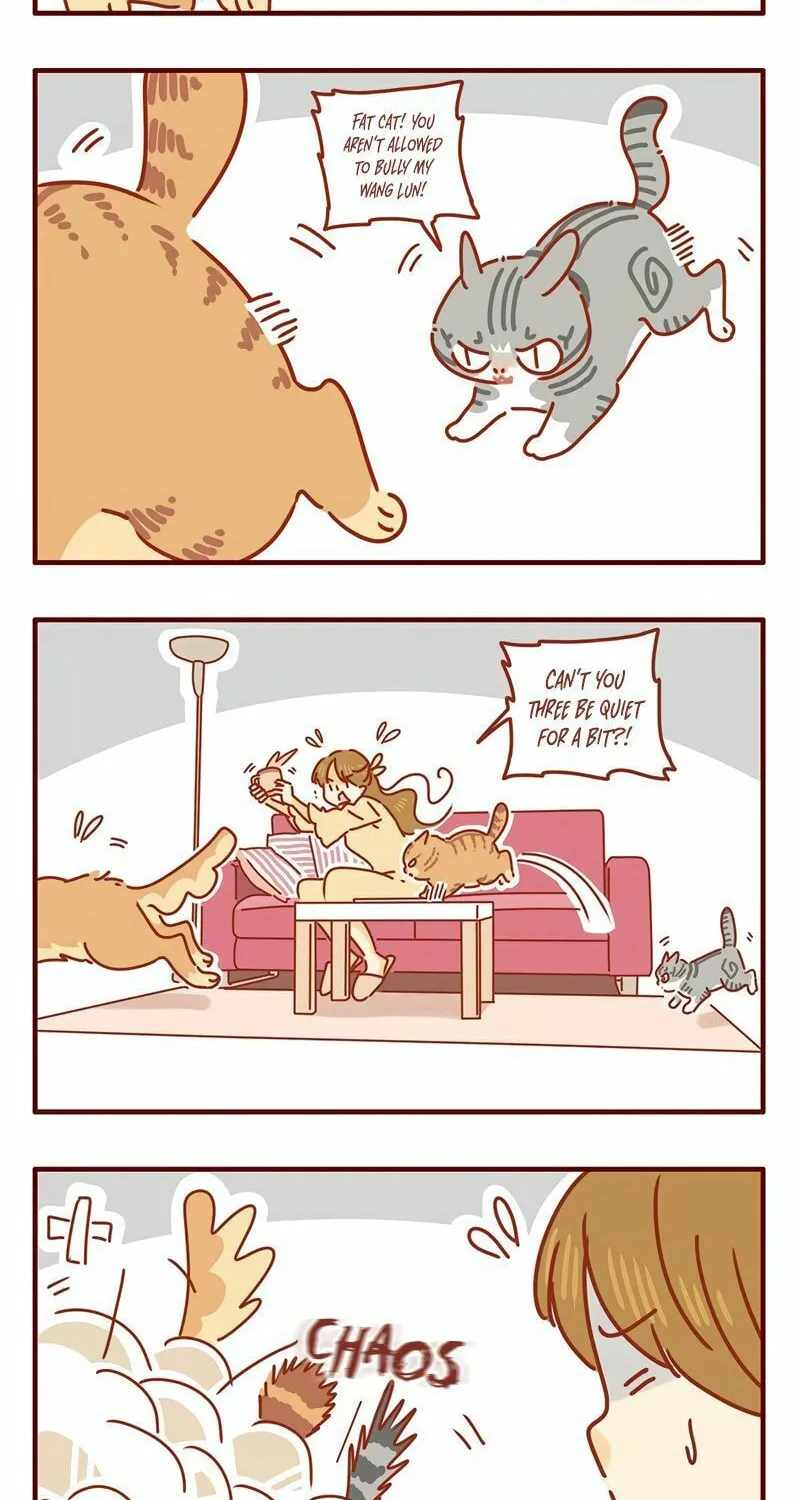 I Am a Small Kitten (Colored) Chapter 21 page 2 - 
