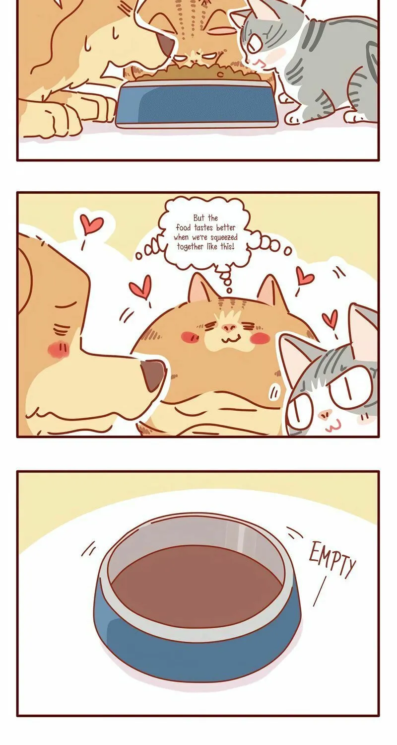 I Am a Small Kitten (Colored) Chapter 21 page 4 - 