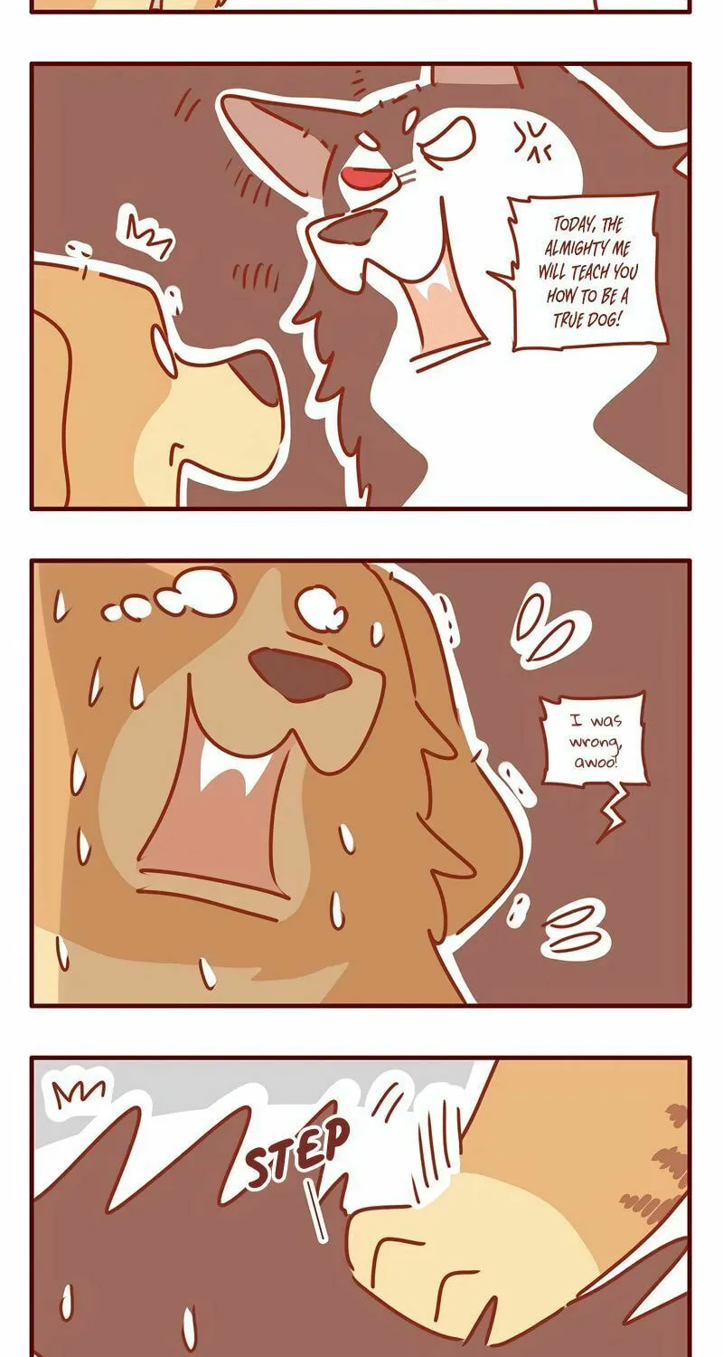 I Am a Small Kitten (Colored) Chapter 22 page 2 - 